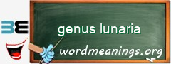 WordMeaning blackboard for genus lunaria